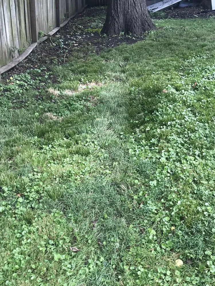 Top-rated outdoor landscaping with custom design across Champaign, IL - Happy Green Services