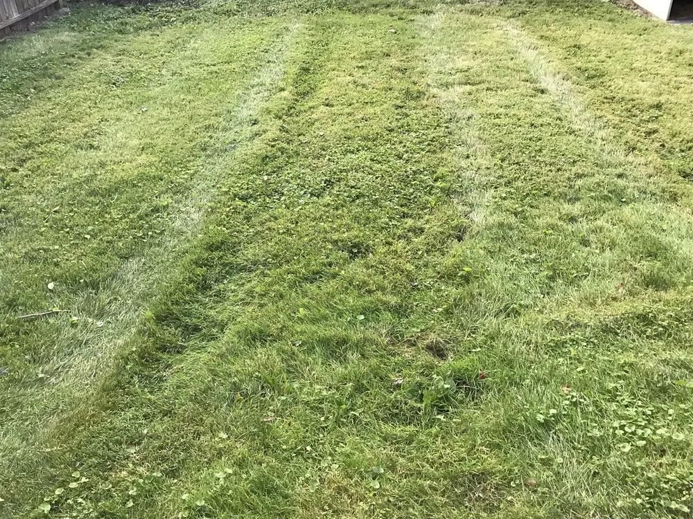 Trusted outdoor landscaping near you across Champaign, IL - Happy Green Services