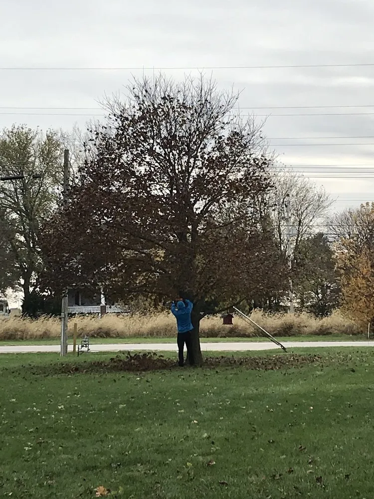 Custom residential landscaping in Champaign, IL - Happy Green Services