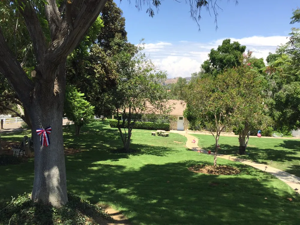 Custom lawn care service in El Cajon, CA - Happy Grounds Landscaping Services