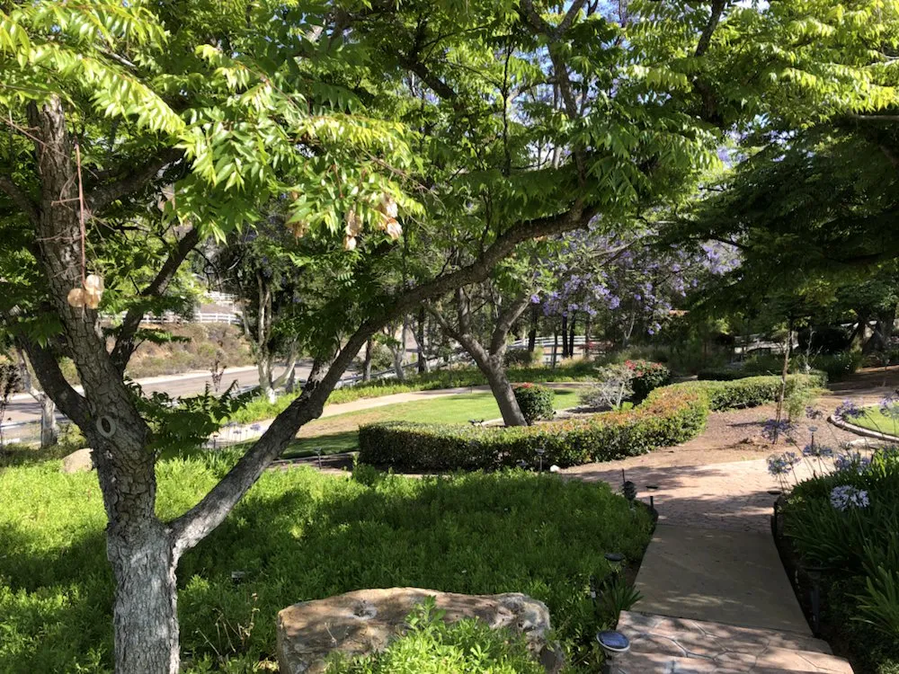 Top-rated landscape design in El Cajon, CA - Happy Grounds Landscaping Services