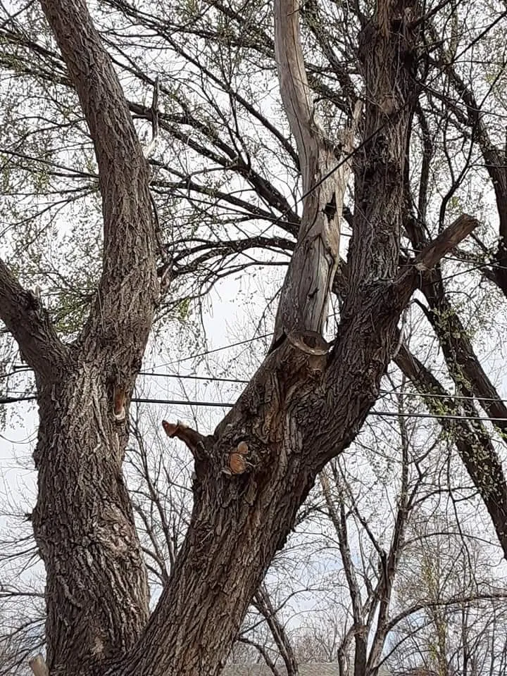 Trusted landscape installation for outdoor upgrades in Sioux Falls, SD by Happy Hands Yard Service