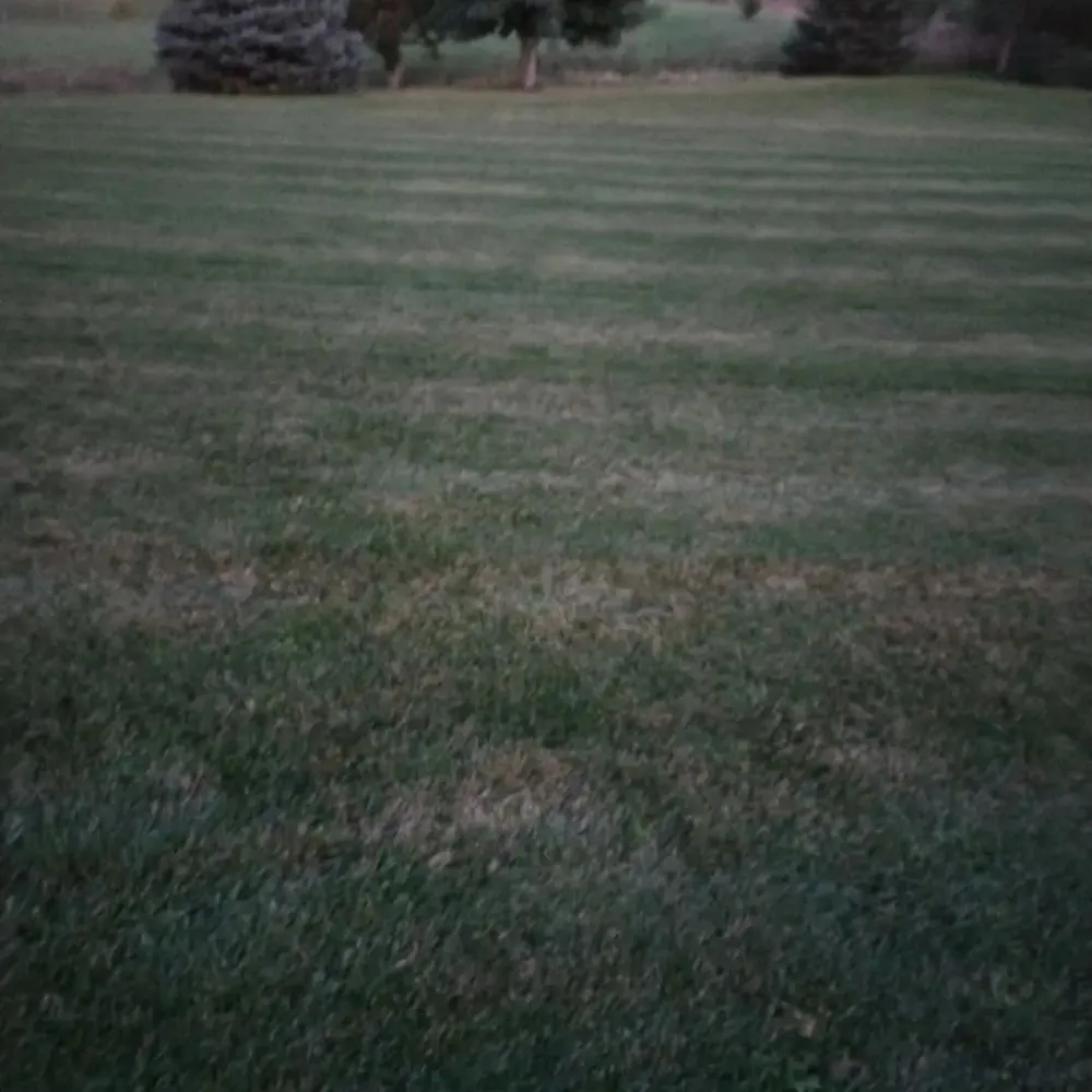 Local lawn care service in Sioux Falls, SD - Happy Hands Yard Service