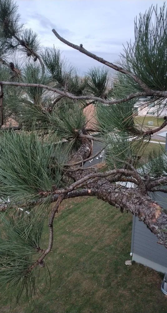 Top-rated landscape design for year-round maintenance across Sioux Falls, SD - Happy Hands Yard Service