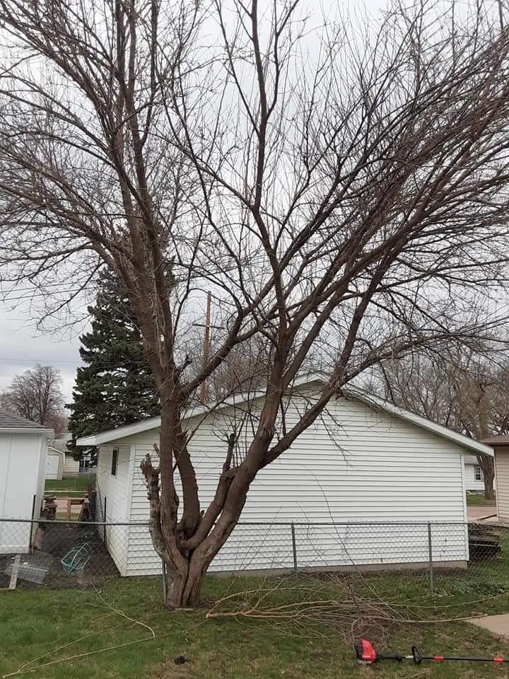 Affordable residential landscaping experts serving Sioux Falls, SD - Happy Hands Yard Service