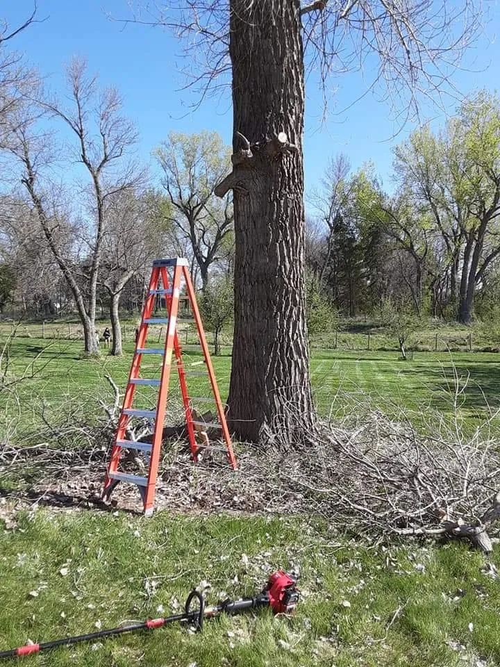 Affordable garden landscaping in Sioux Falls, SD by Happy Hands Yard Service