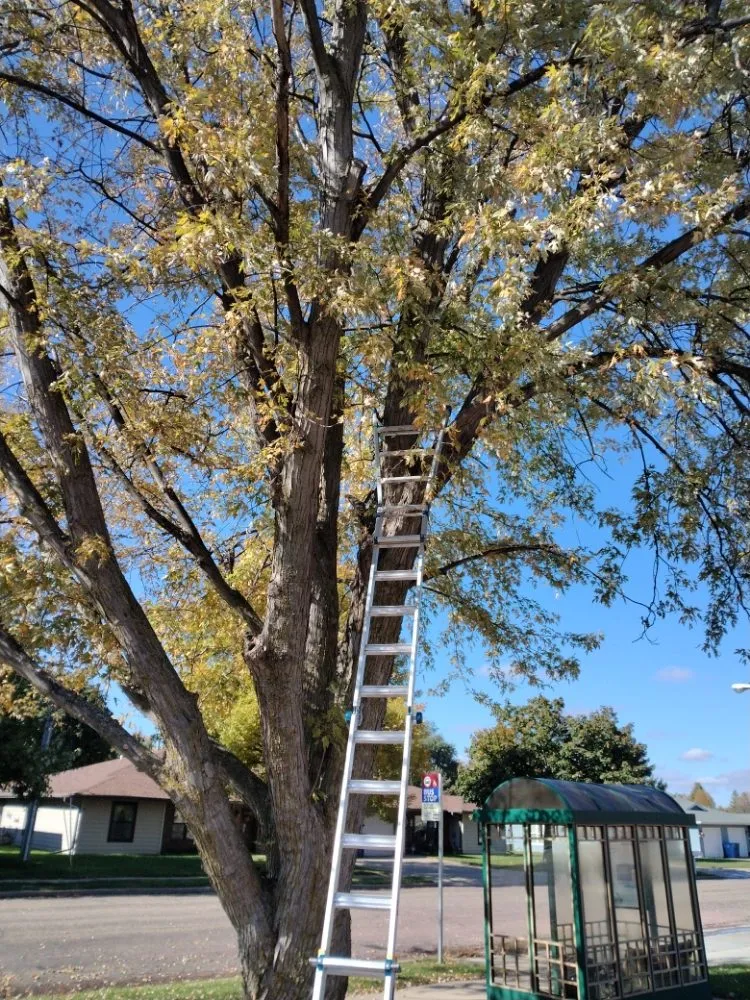 Professional yard maintenance in Sioux Falls, SD by Happy Hands Yard Service