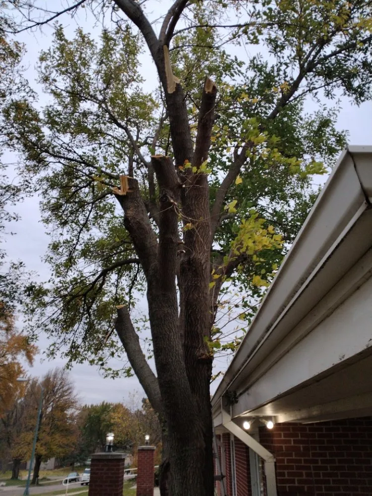 Local landscape design experts serving Sioux Falls, SD - Happy Hands Yard Service