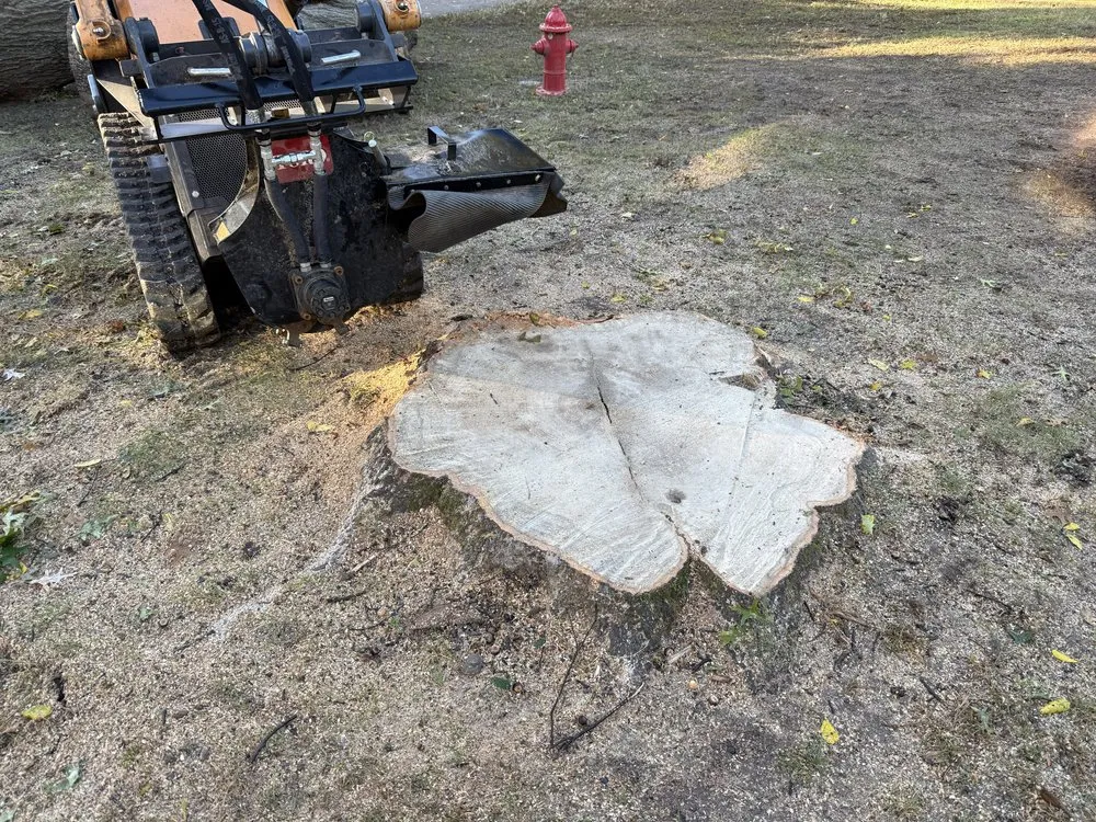 Affordable lawn mowing service in Shawnee, KS by Happy Helpers