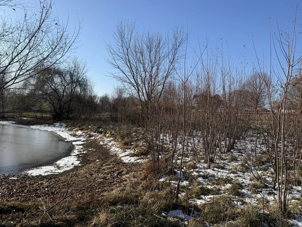 Reliable yard maintenance for homes in Shawnee, KS by Happy Helpers