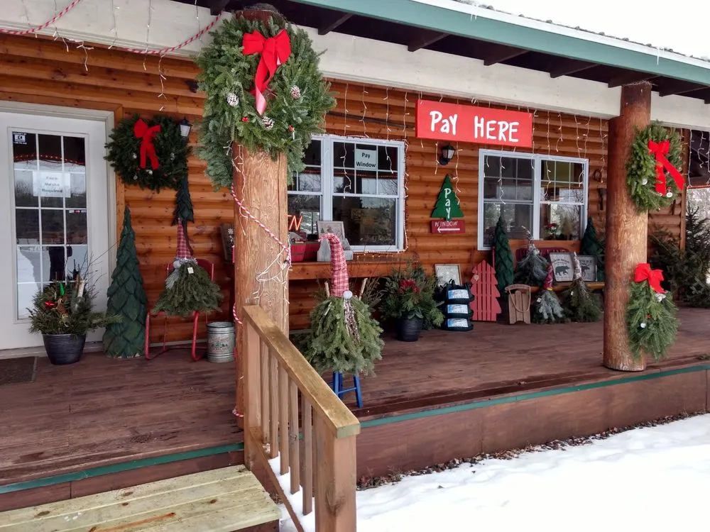 Top-rated yard cleanup service in Sandstone, MN by Happy Land Tree Farms