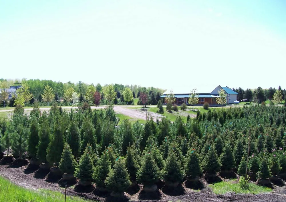 Expert lawn mowing service near you across Sandstone, MN - Happy Land Tree Farms