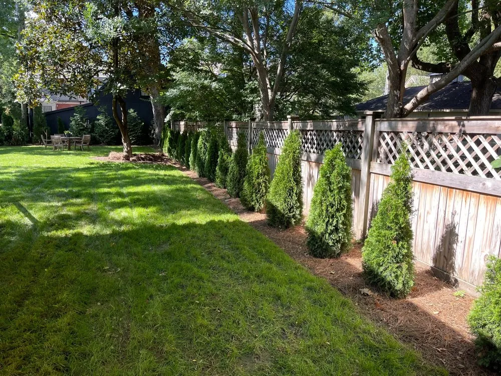 Custom outdoor landscaping for beautiful yards across Lexington, KY - Happy Landscape Lighting