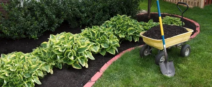 Local landscape design experts serving Lexington, KY - Happy Landscape Lighting