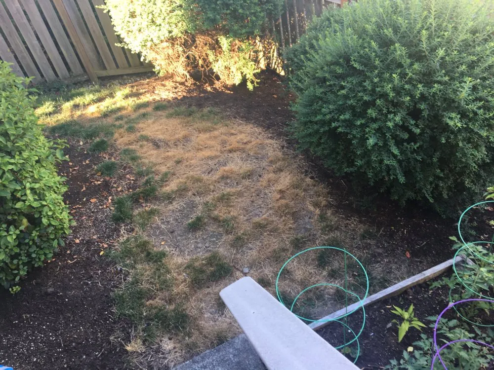 Reliable garden landscaping experts serving Burien, WA - Happy Landscaping