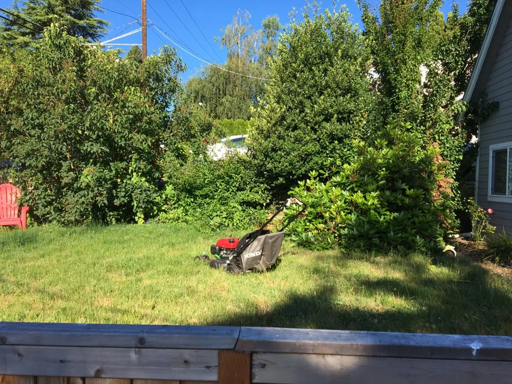 Trusted yard cleanup service experts serving Burien, WA - Happy Landscaping