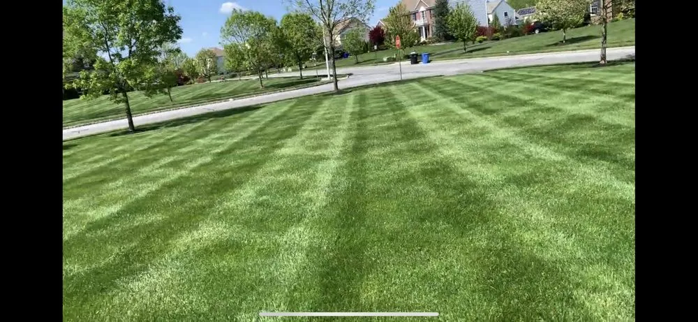 Local yard maintenance experts serving Vineland, NJ - Happy Lawn Care