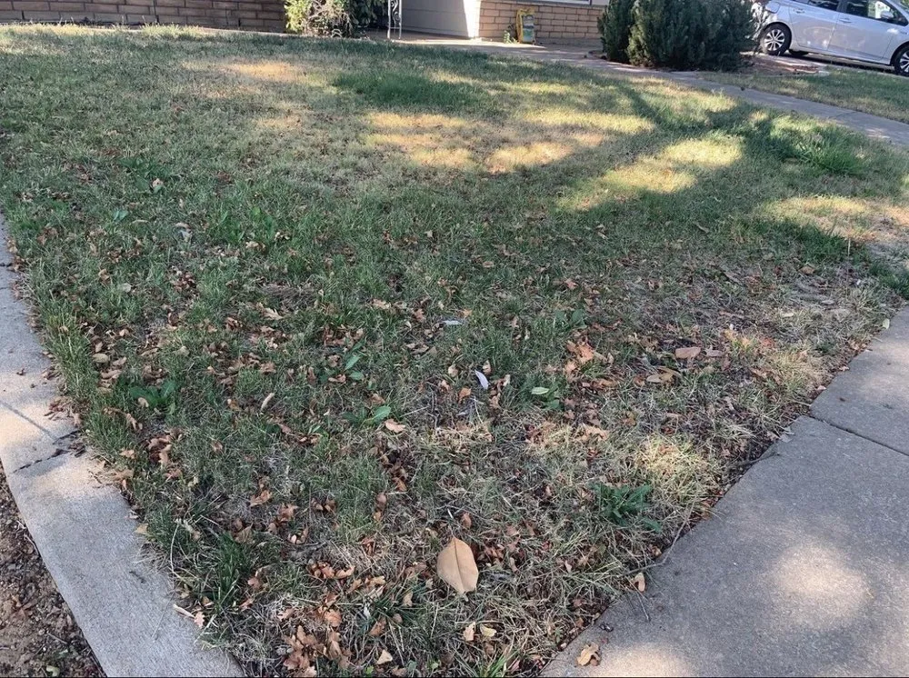 Professional outdoor landscaping near you in Arden-Arcade, CA by Happy Lawn Company