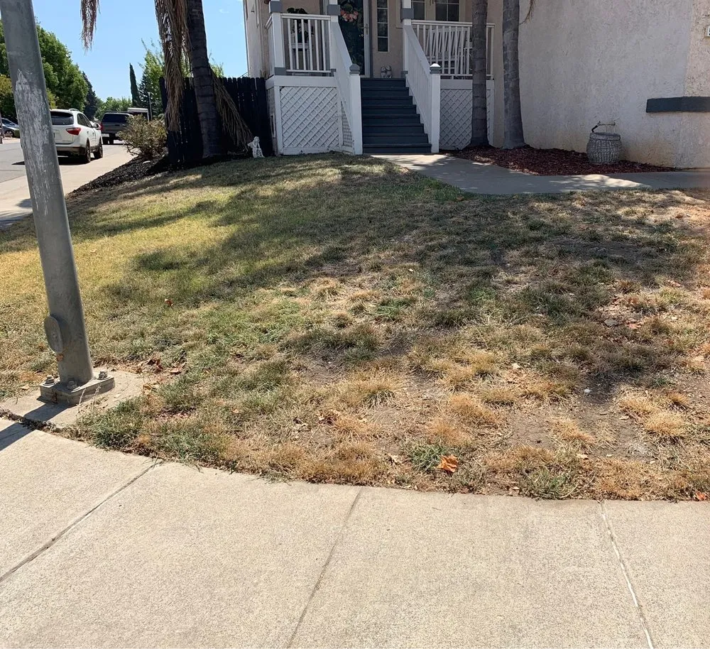 Professional landscape design in Arden-Arcade, CA by Happy Lawn Company