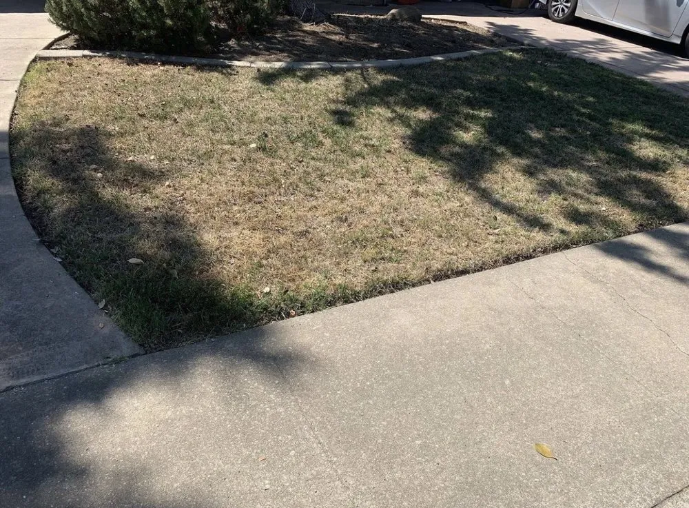 Reliable lawn mowing service in Arden-Arcade, CA by Happy Lawn Company