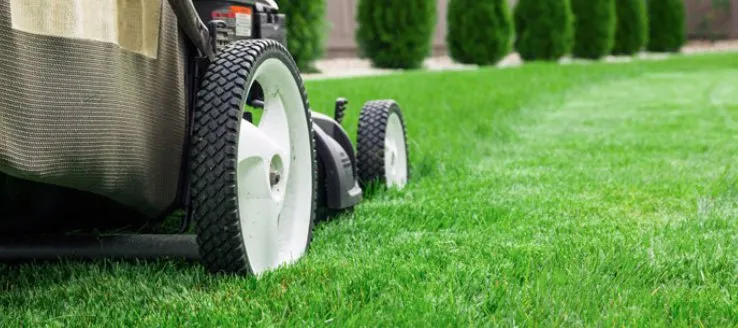 Top-rated landscape installation in Arden-Arcade, CA - Happy Lawn Company