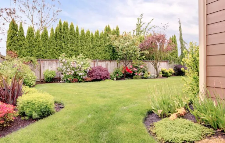 Expert landscaping services in Arden-Arcade, CA - Happy Lawn Company