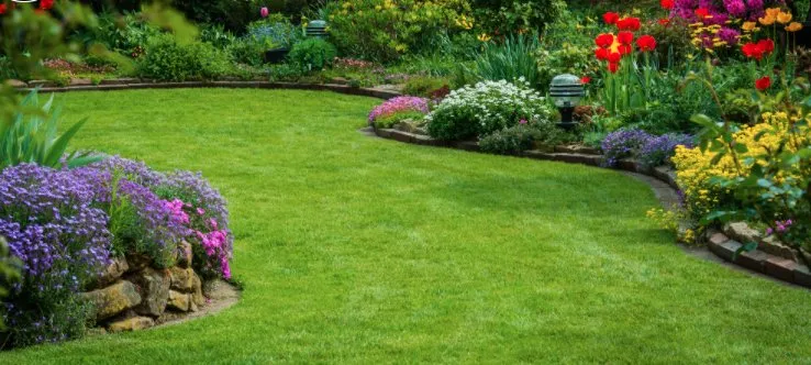 Trusted yard maintenance in Arden-Arcade, CA by Happy Lawn Company