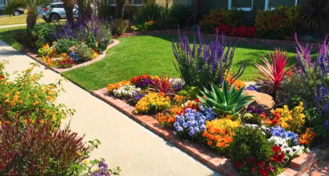 Affordable lawn care service experts serving Arden-Arcade, CA - Happy Lawn Company