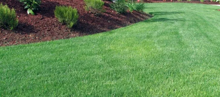 Top-rated lawn mowing service in Arden-Arcade, CA by Happy Lawn Company