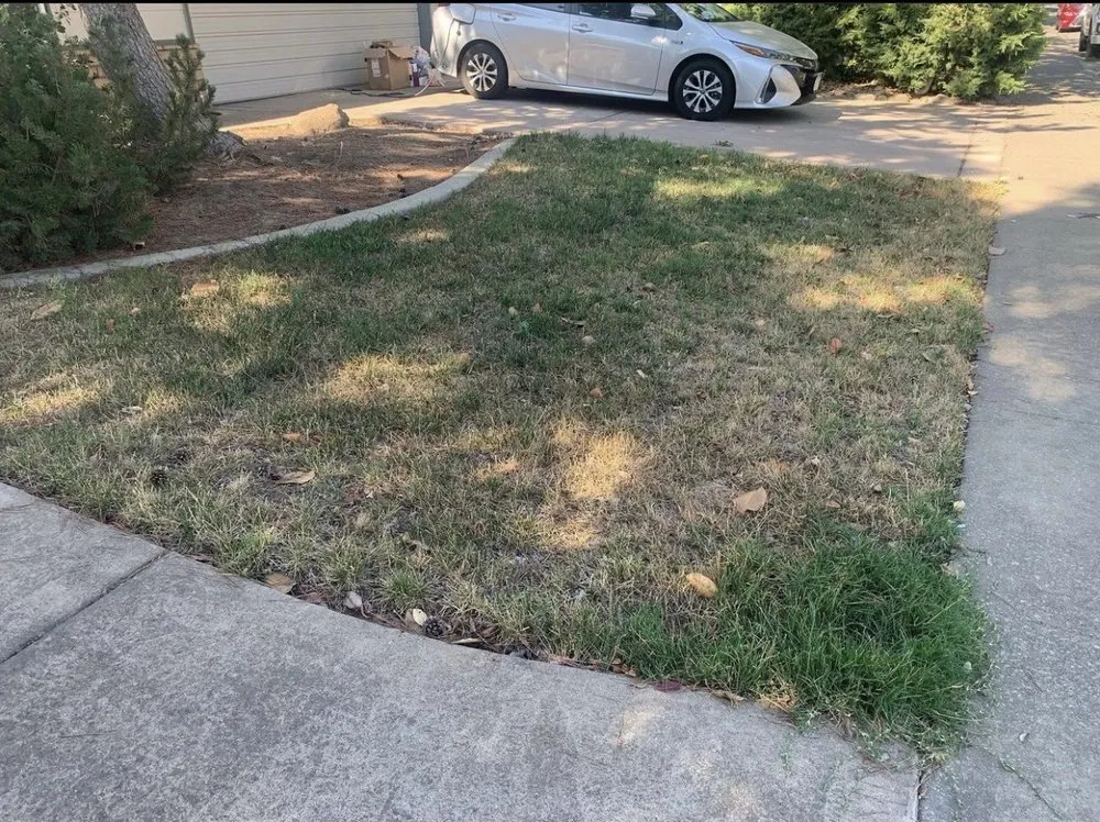 Expert garden landscaping near you across Arden-Arcade, CA - Happy Lawn Company