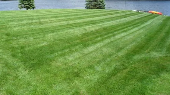 Reliable residential landscaping in Gladwin, MI - Happy Lawn