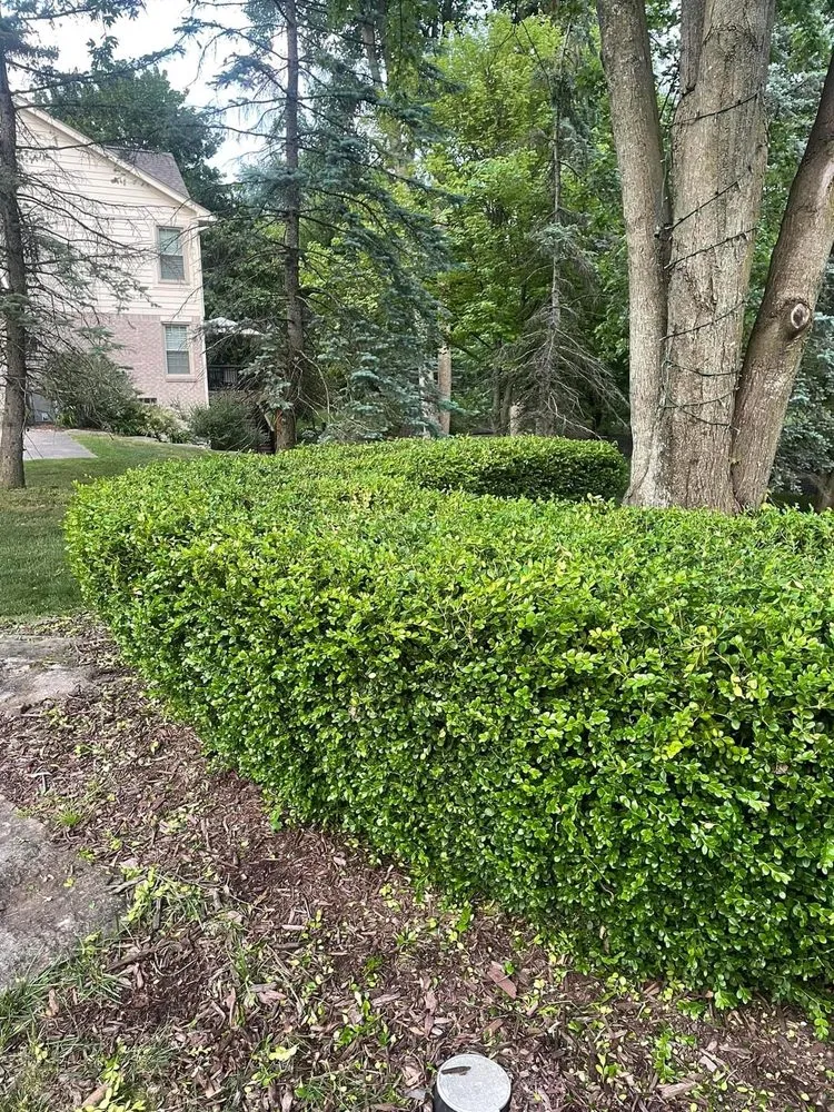 Top-rated outdoor landscaping in Royal Oak, MI - Happy Lawn Services