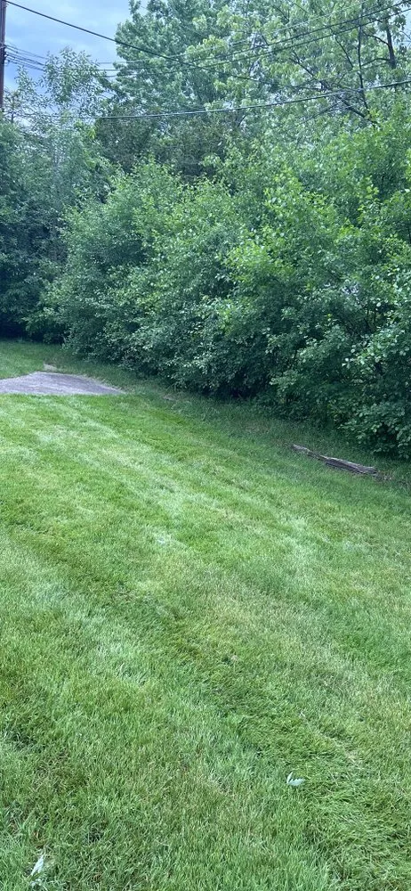 Local yard cleanup service experts serving Royal Oak, MI - Happy Lawn Services