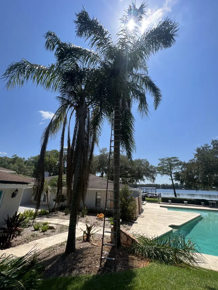 Expert lawn care service in Tampa, FL - Happy Neighbor Tree Service