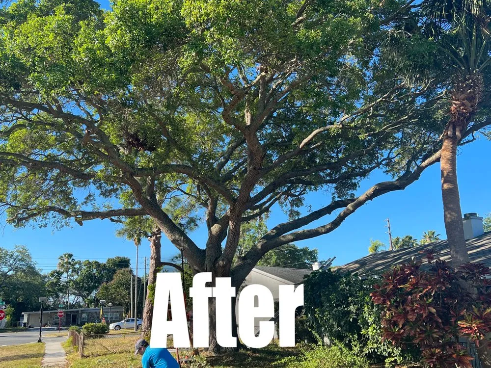 Trusted landscape installation for year-round maintenance across Tampa, FL - Happy Neighbor Tree Service