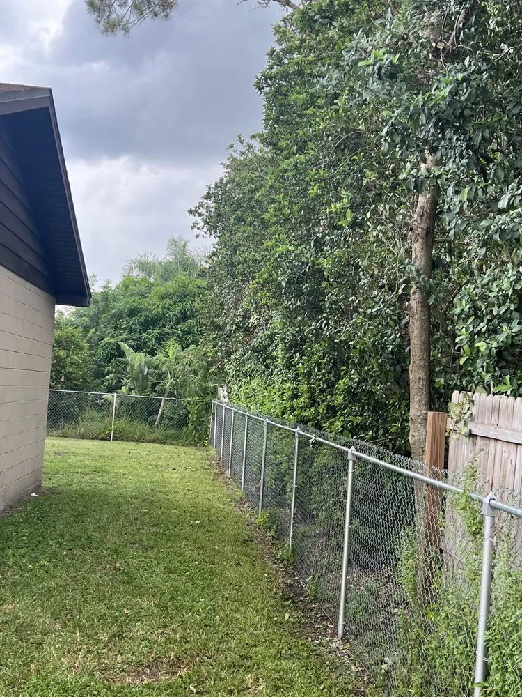 Custom outdoor landscaping for homes across Tampa, FL - Happy Neighbor Tree Service