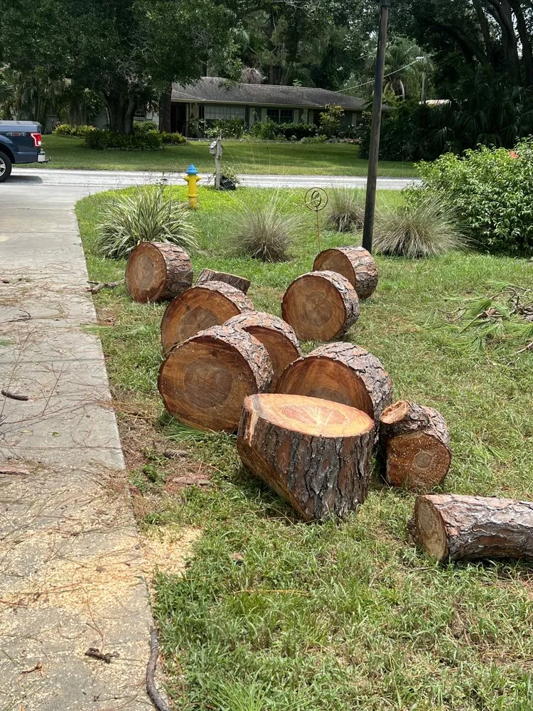 Top-rated landscaping services for homes in Tampa, FL by Happy Neighbor Tree Service