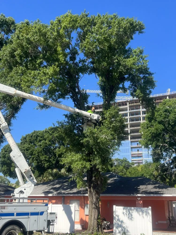Expert landscape installation for year-round maintenance across Tampa, FL - Happy Neighbor Tree Service