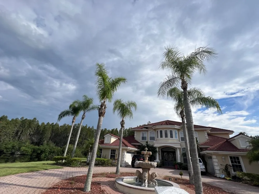 Affordable residential landscaping experts serving Tampa, FL - Happy Neighbor Tree Service