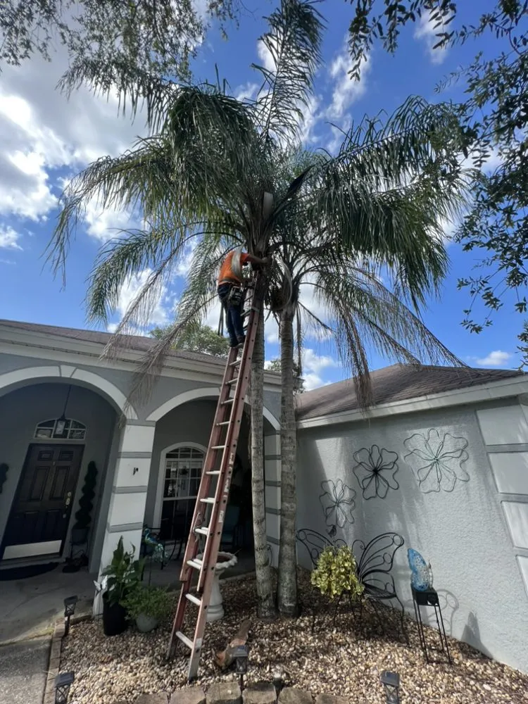 Trusted lawn care service for residential properties in Tampa, FL by Happy Neighbor Tree Service
