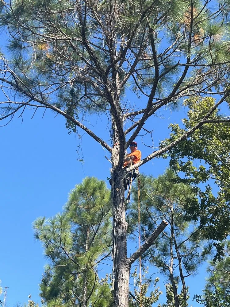 Trusted lawn mowing service for outdoor upgrades in Tampa, FL by Happy Neighbor Tree Service