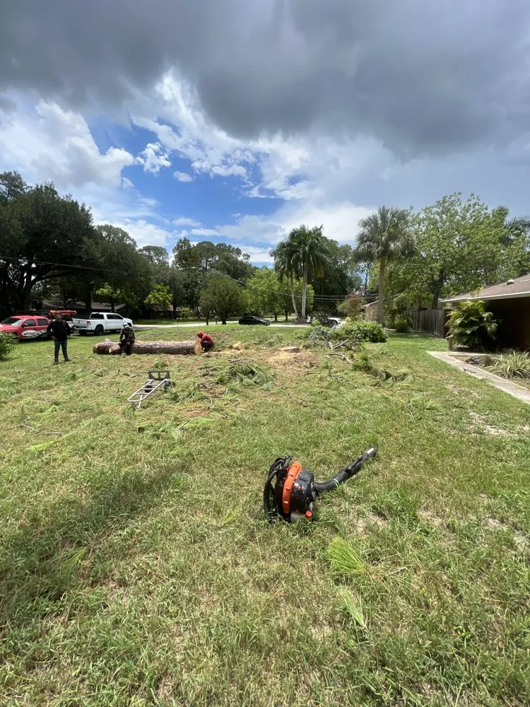 Reliable garden landscaping for homes in Tampa, FL by Happy Neighbor Tree Service