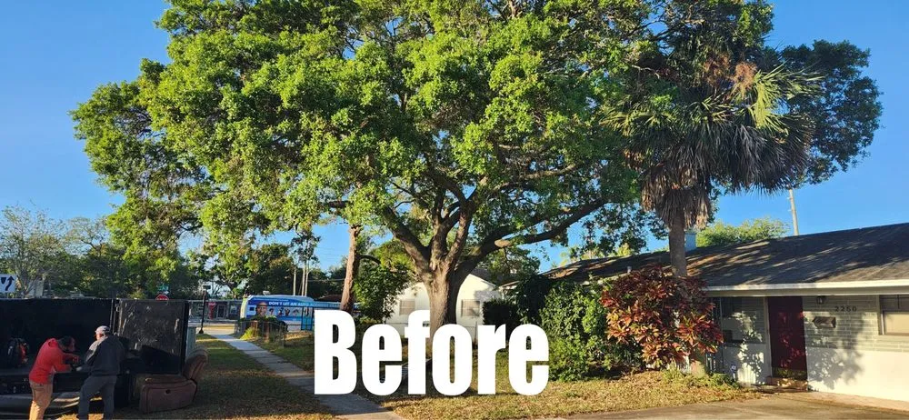 Top-rated residential landscaping in Tampa, FL by Happy Neighbor Tree Service