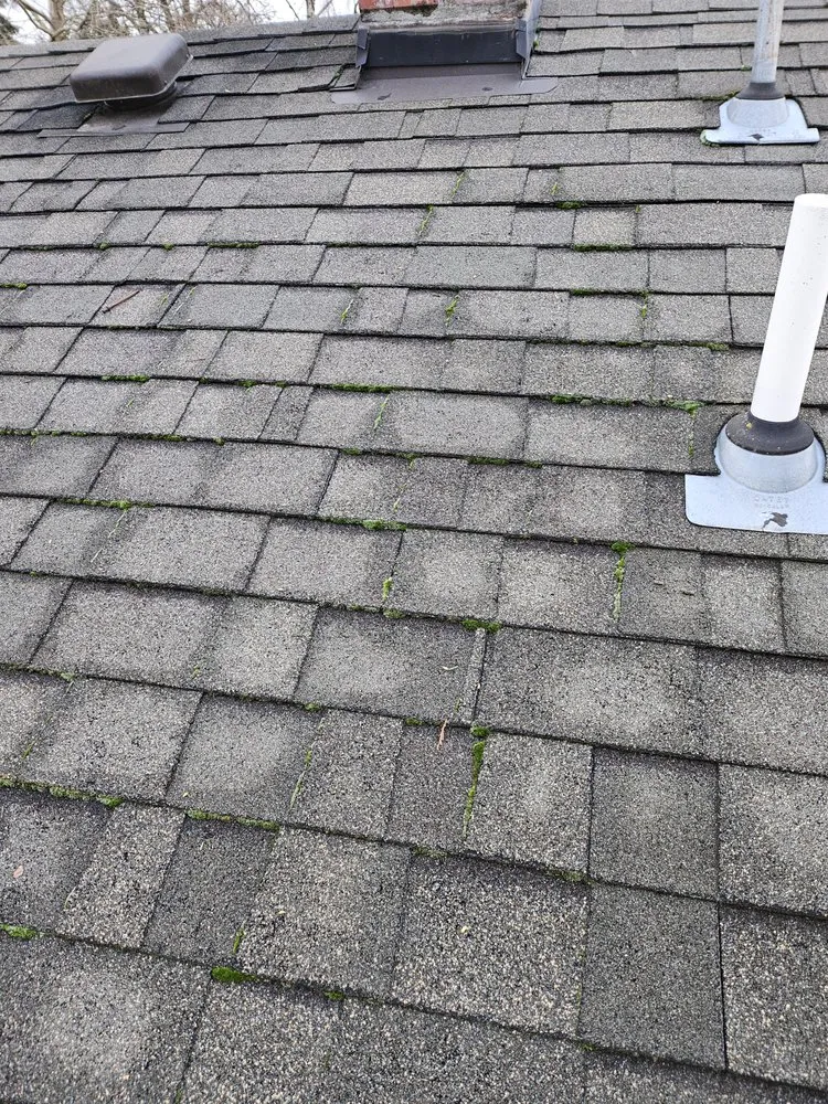 Expert outdoor landscaping for beautiful yards in Salem, OR by Happy Pappys Lawn Care