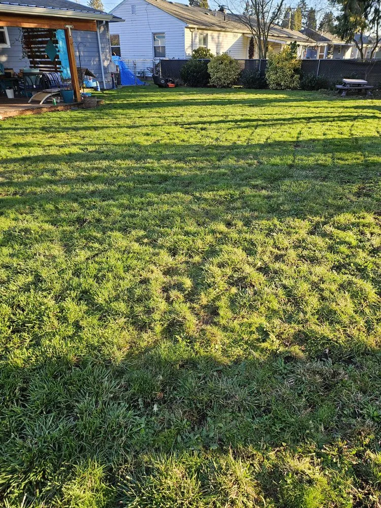 Reliable lawn care service for residential properties in Salem, OR by Happy Pappys Lawn Care