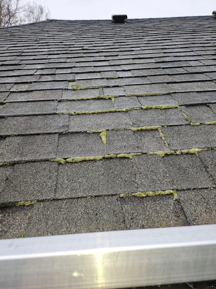 Expert landscaping services for beautiful yards across Salem, OR - Happy Pappys Lawn Care