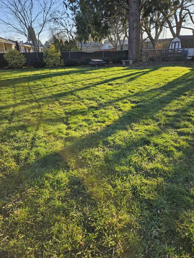 Affordable yard maintenance in Salem, OR by Happy Pappys Lawn Care