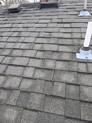 Happy Pappys Lawn Care Logo