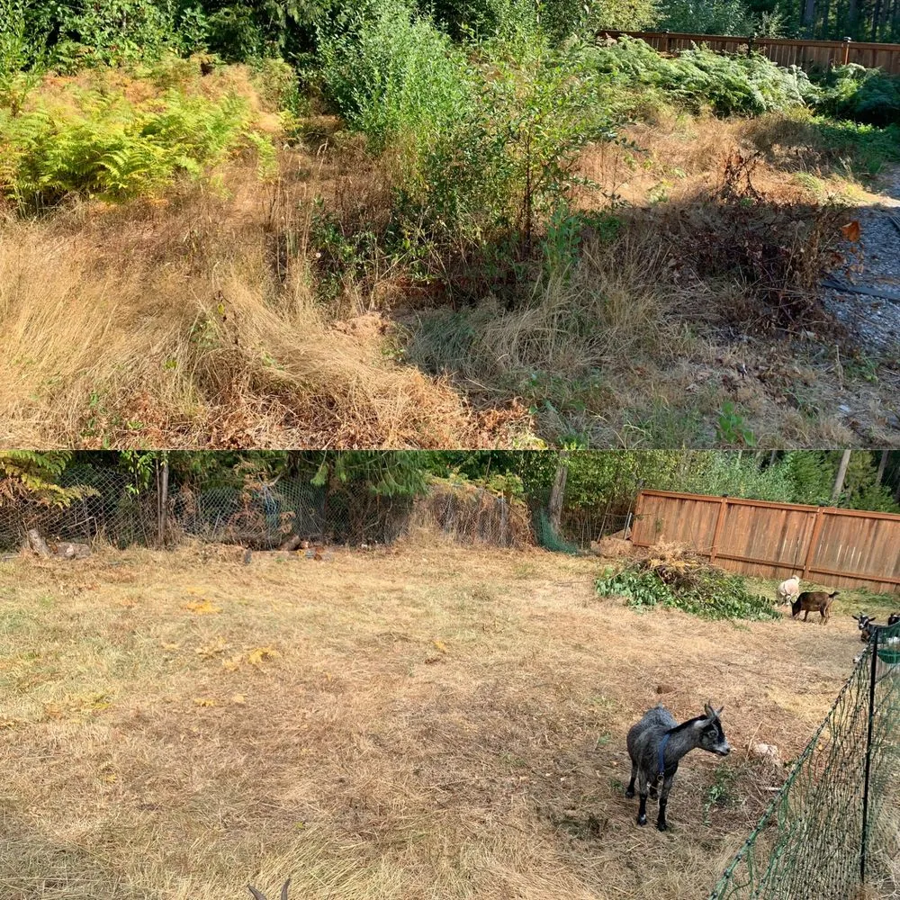 Affordable lawn mowing service experts serving Deming, WA - Happy Path Farms