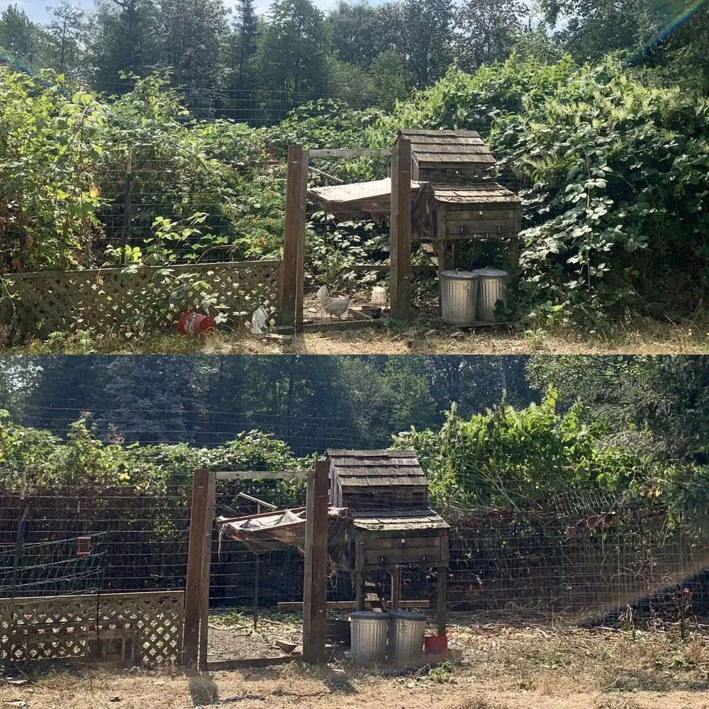 Custom landscaping services experts serving Deming, WA - Happy Path Farms